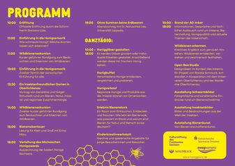 Flyer_Back