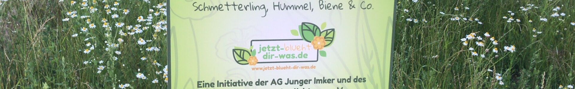 Blühwiese