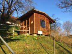 Der Lehrbienenstand am Kleinen Bienenmuseum